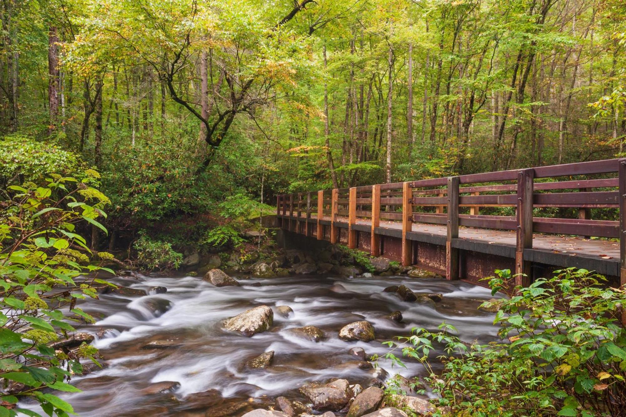 Magical Moments, Hot Tub, Wifi, 1089 Free Tickets Each Paid Day, Dollywood And More Gatlinburg Exterior foto